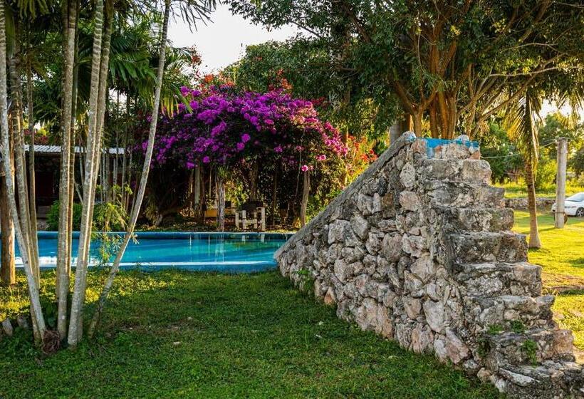 ホテル Posada Barahona