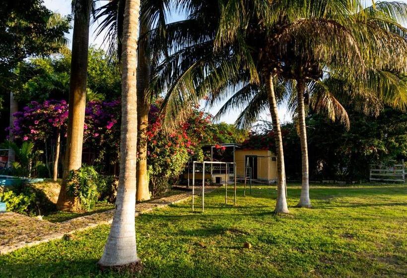 ホテル Posada Barahona