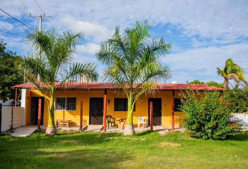 ホテル Posada Barahona