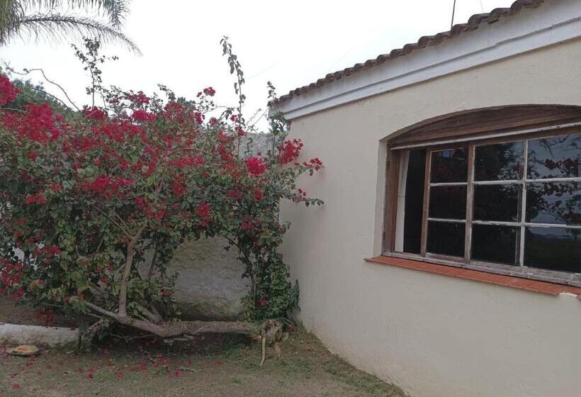 ホテル Pousada Vila Rica