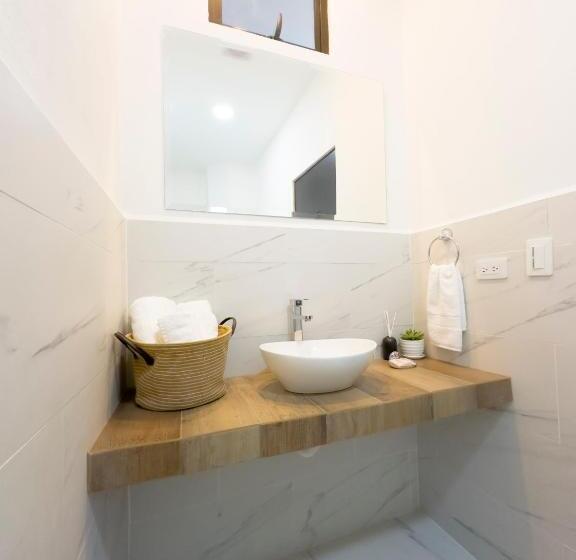 Отель The Stay San Jose