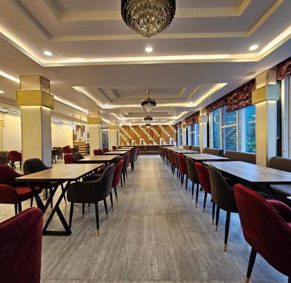 호텔 Tranquil Inn Mashobra  Off Beat