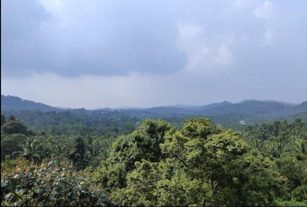 Отель Wayanad Adventures Eco Farm Resort
