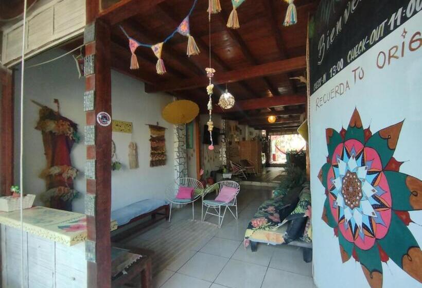 בית מלון כפרי Surf Camp   Máncora