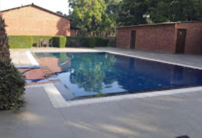 Mango Tree Resorts,ranapur