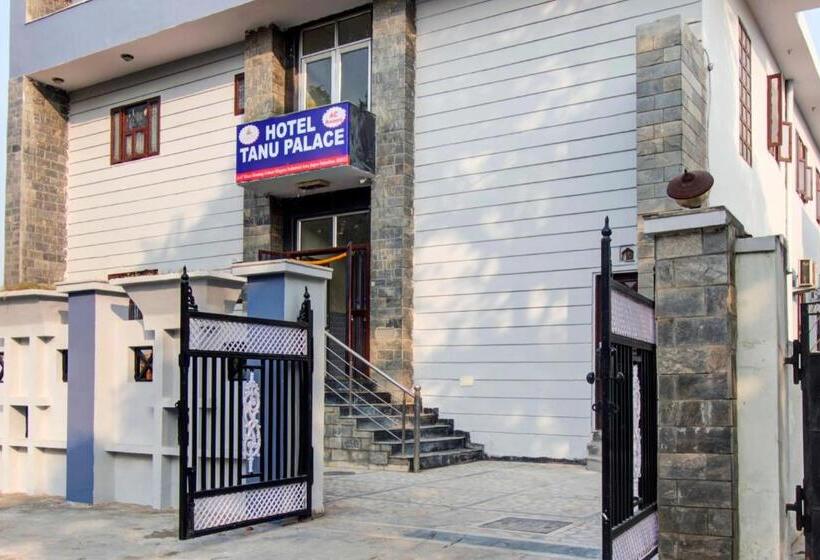 Oyo Hotel Tanu Palace