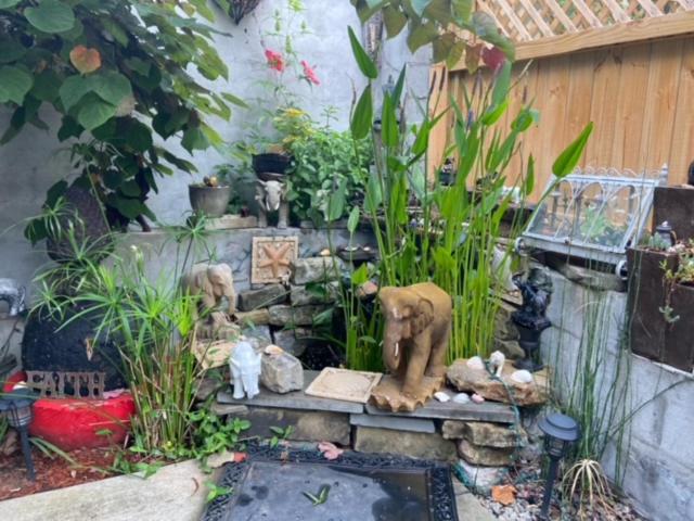 بنسيون African Zen Oasis