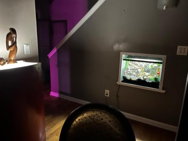 بنسيون African Zen Oasis