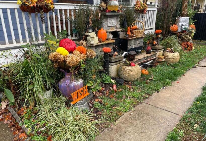 بنسيون African Zen Oasis