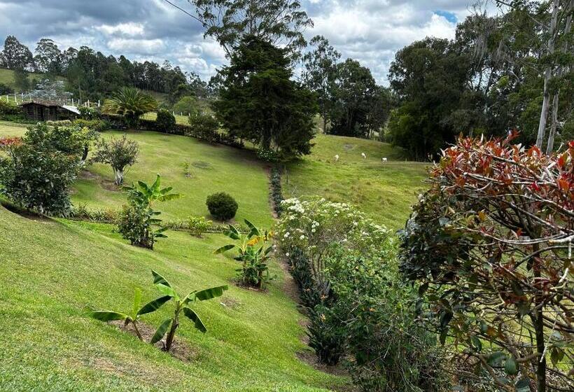 Пансион Avatar Mountain Retreat