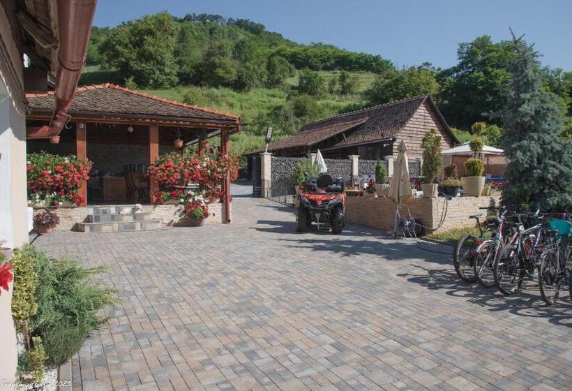 פנסיון Biertan 48 Guesthouse