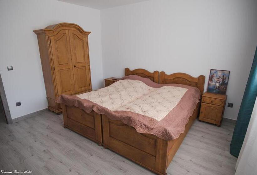 פנסיון Biertan 48 Guesthouse