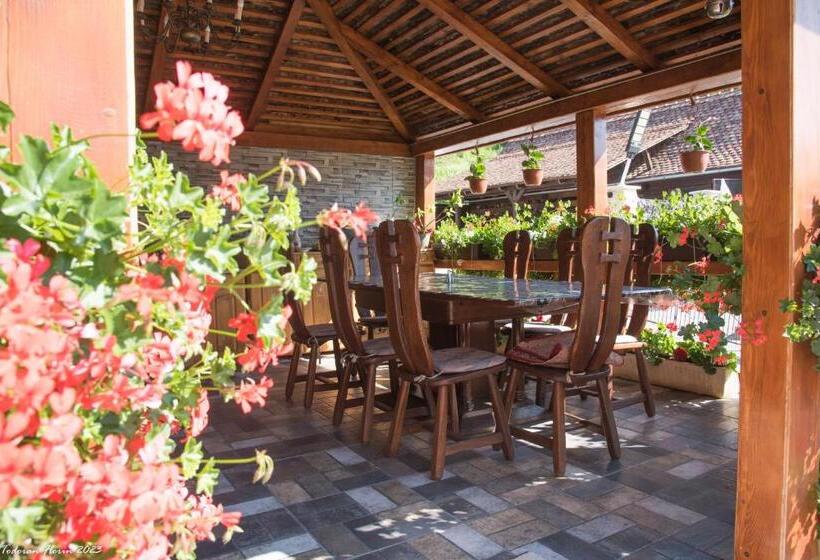 بنسيون Biertan 48 Guesthouse