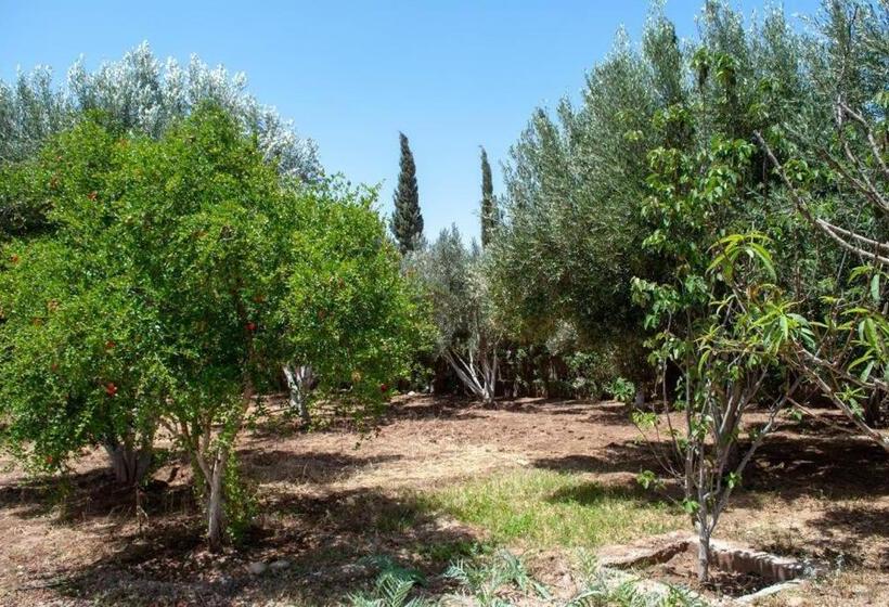 بنسيون Bungalows Kousmat 2