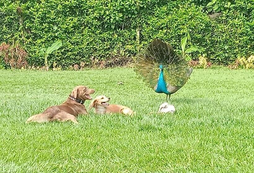 펜션 Hospedaje Familar Campestre Villa Alondra