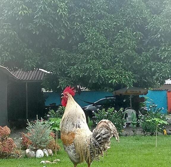 펜션 Hospedaje Familar Campestre Villa Alondra