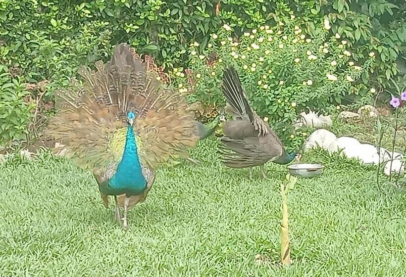 پانسیون Hospedaje Familar Campestre Villa Alondra