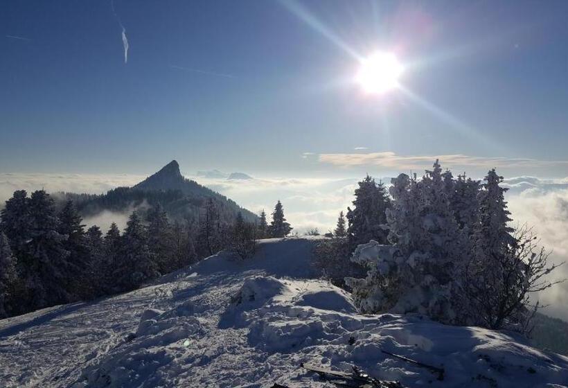 膳宿费 Chalet Koch