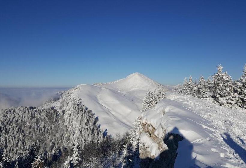 膳宿费 Chalet Koch