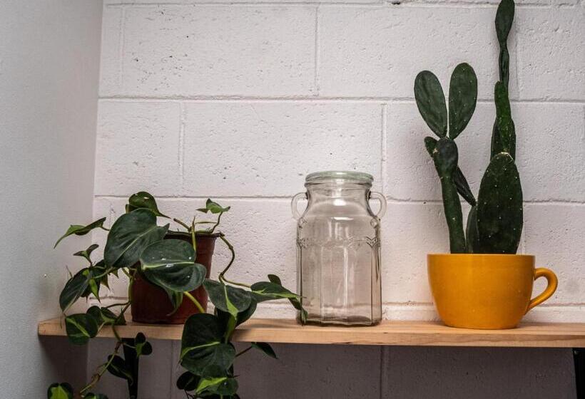 پانسیون Lolas Hostal, Habitacion Exclusiva Para Mujeres, 2 Camarotes, Precio Por Cama