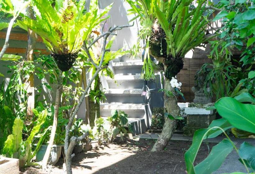 פנסיון Krisna Tapan Guest House