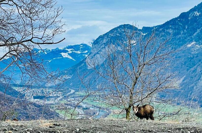 Пансион Mazot Agora Suite Pop Up Gallery Experience Suite