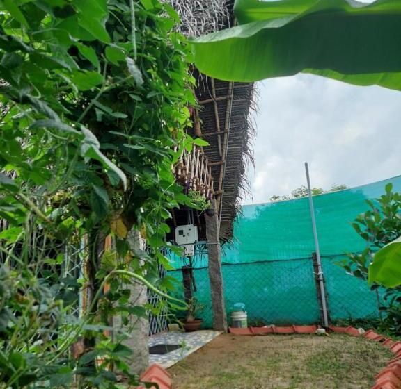 بنسيون Open House