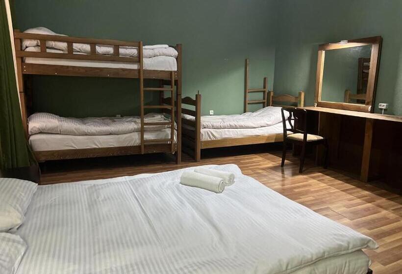 پانسیون Orkhi Guest House & Hostel