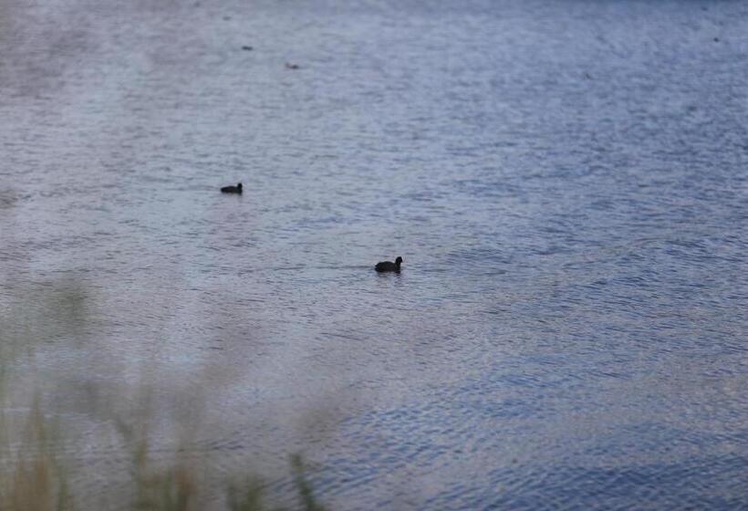 Pensão Private Eco Wooden Studio With Bath And Bikes And Garden