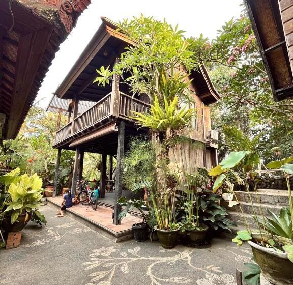 بنسيون Rumah Jedda