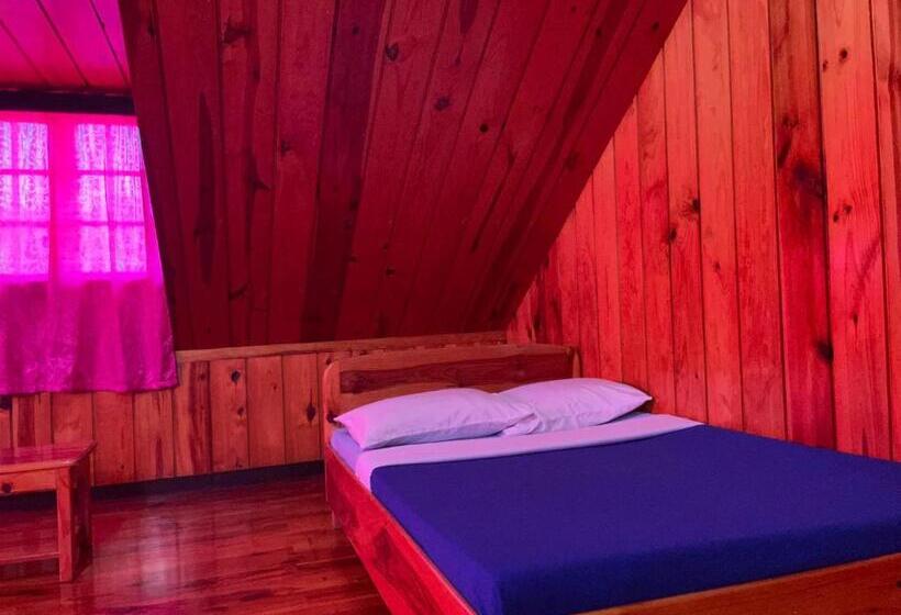 펜션 Saint Joseph Inn