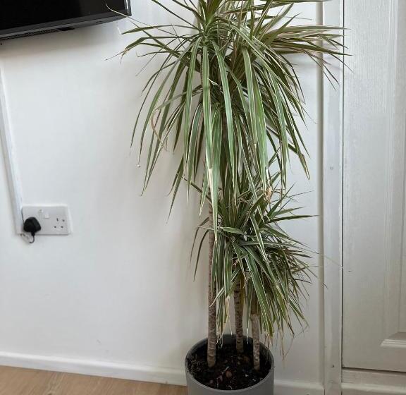 Пансион Self Contained En Suite Room Very Close To Wembley Stadium