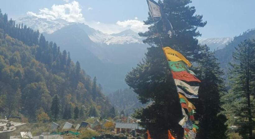 بنسيون The Harmony Club Thc Cafe & Stay, Tosh