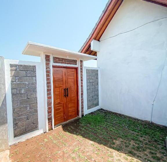 פנסיון Turtle House Surf & Stay