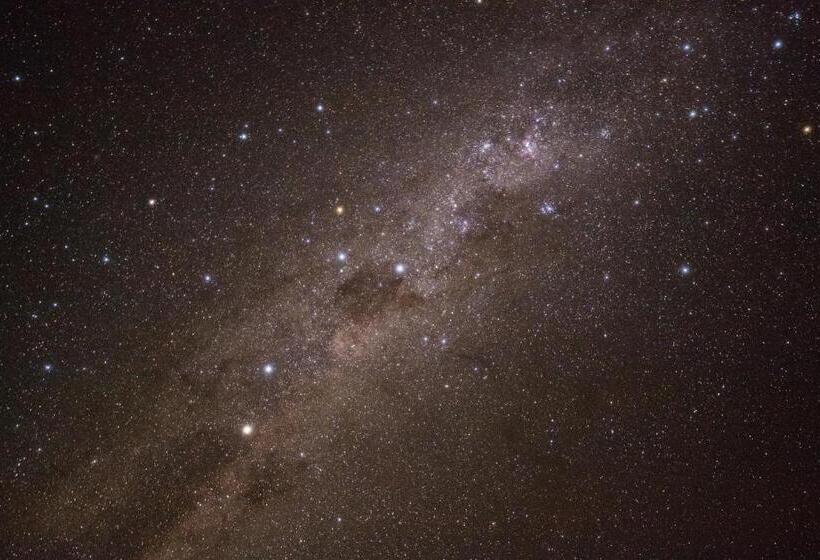 بنسيون Welcome To Vineside