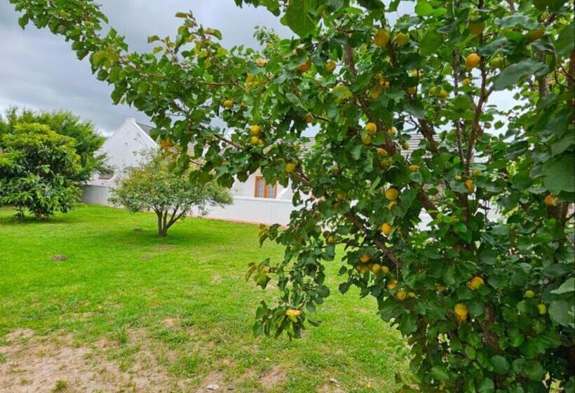 بنسيون Wingrock Guesthouse