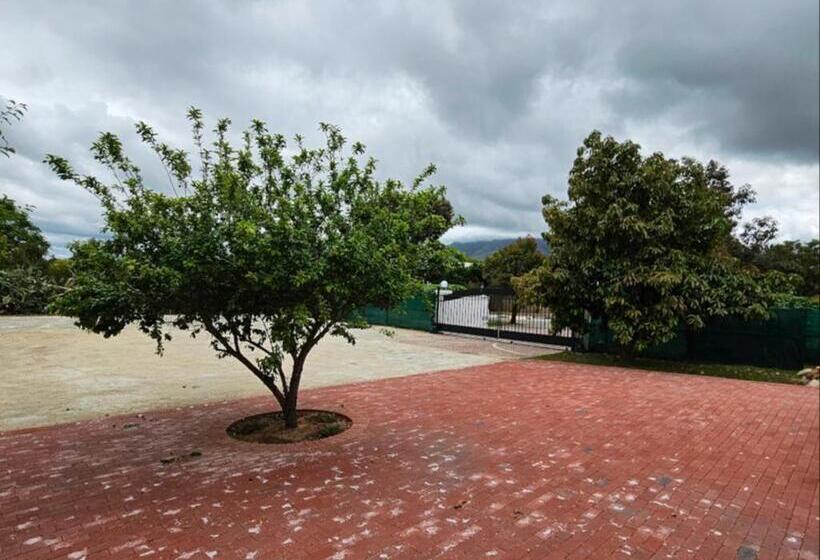 بنسيون Wingrock Guesthouse