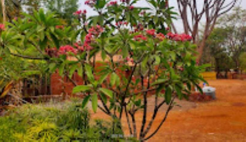 Tarangan Resort Chiplun