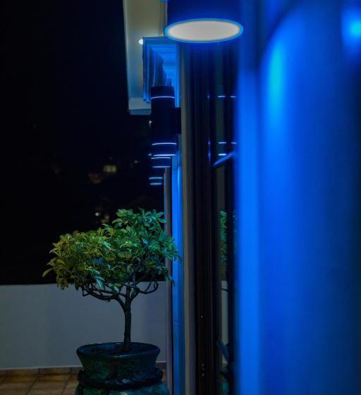 הוסטל Hostal Real San Jose