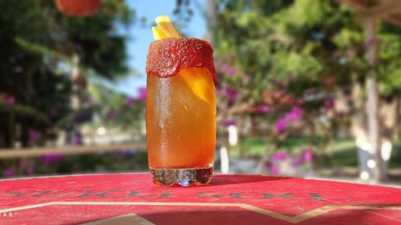 ユースホステル Posada Barahona