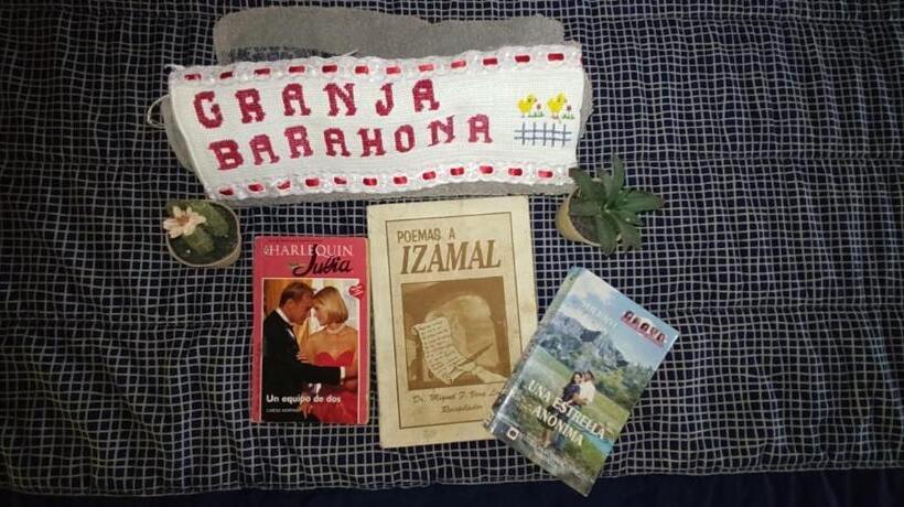 ユースホステル Posada Barahona