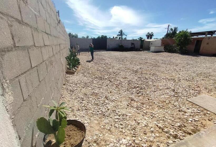 فندق صغير Posada San Carlos