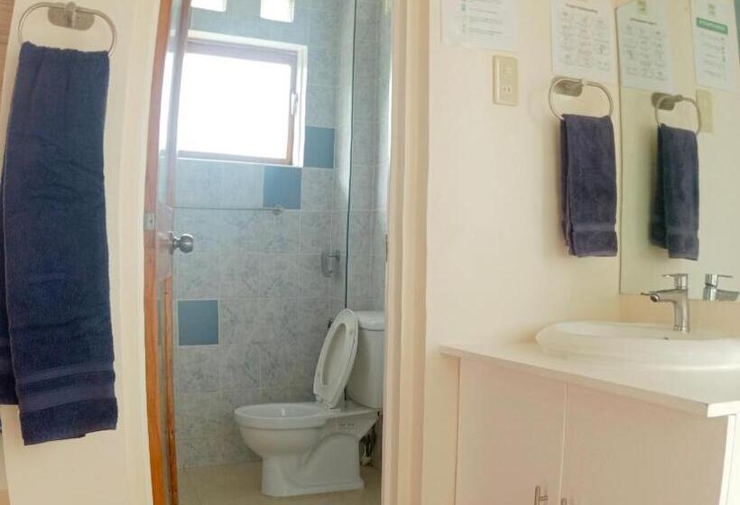 تختخواب و صبحانه Alon Stay