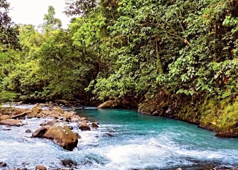 مبيت وإفطار Cacahua Paradise Lodge, Río Celeste