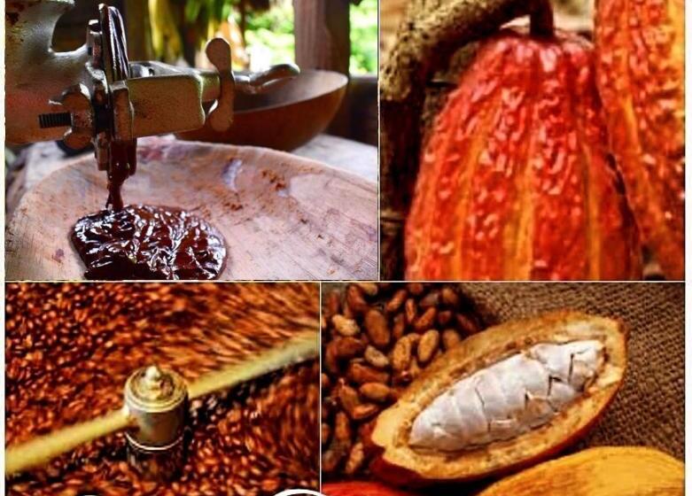 مبيت وإفطار Cacahua Paradise Lodge, Río Celeste