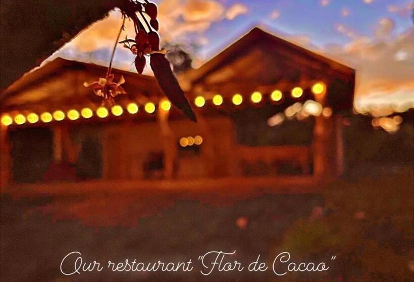 مبيت وإفطار Cacahua Paradise Lodge, Río Celeste