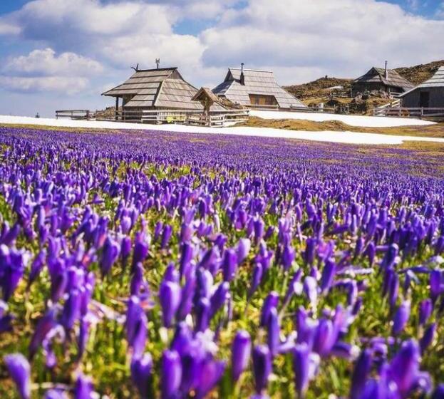 تختخواب و صبحانه Domžalski Dom Na Veliki Planini