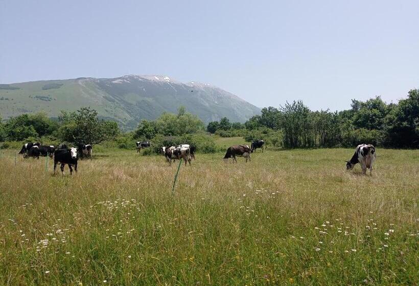 צימר Famiglia Nel Vento