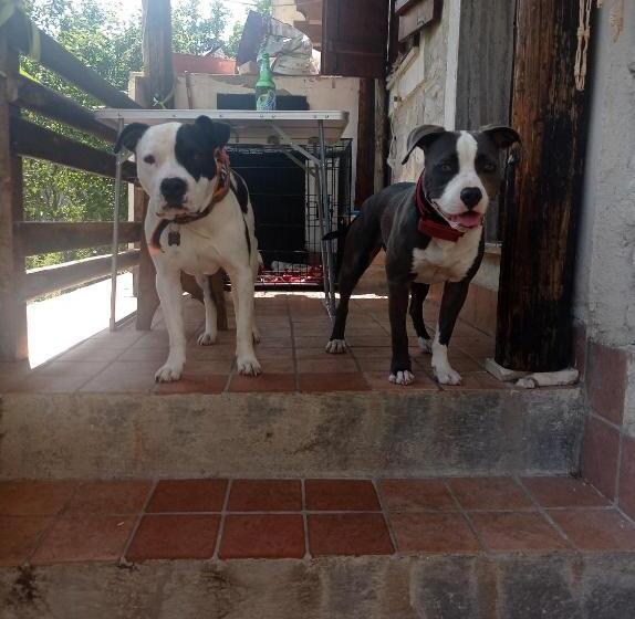 צימר Famiglia Nel Vento