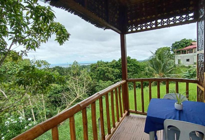 Bed and Breakfast Loony Cafe & Guesthouse